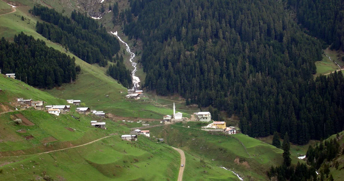 Anzer Yaylası Piknik Alanı