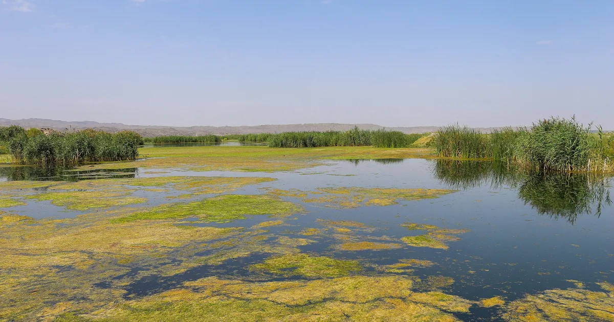Aras Nehri Kenarı Piknik Alanı