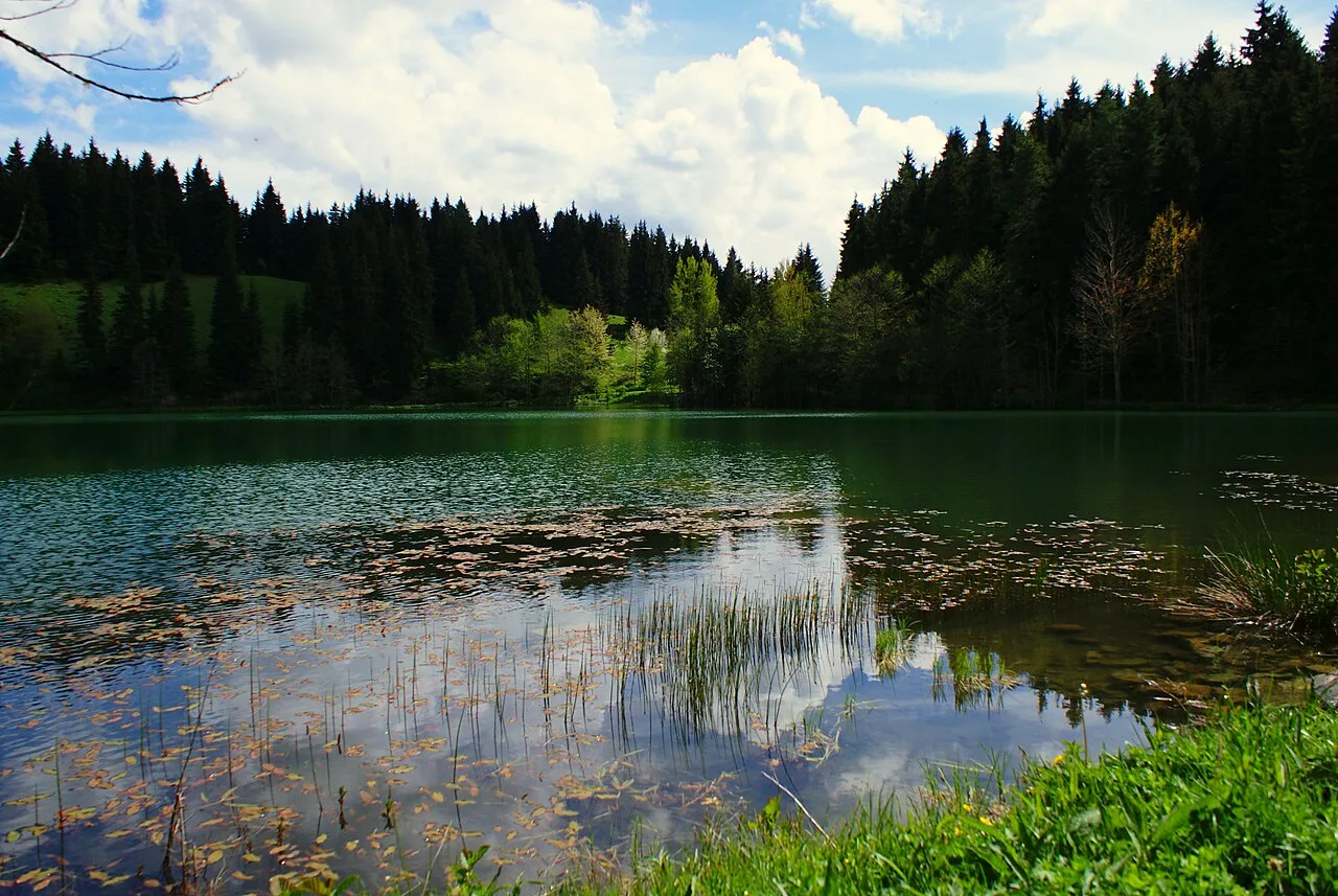 Borçka Karagöl Tabiat Parkı