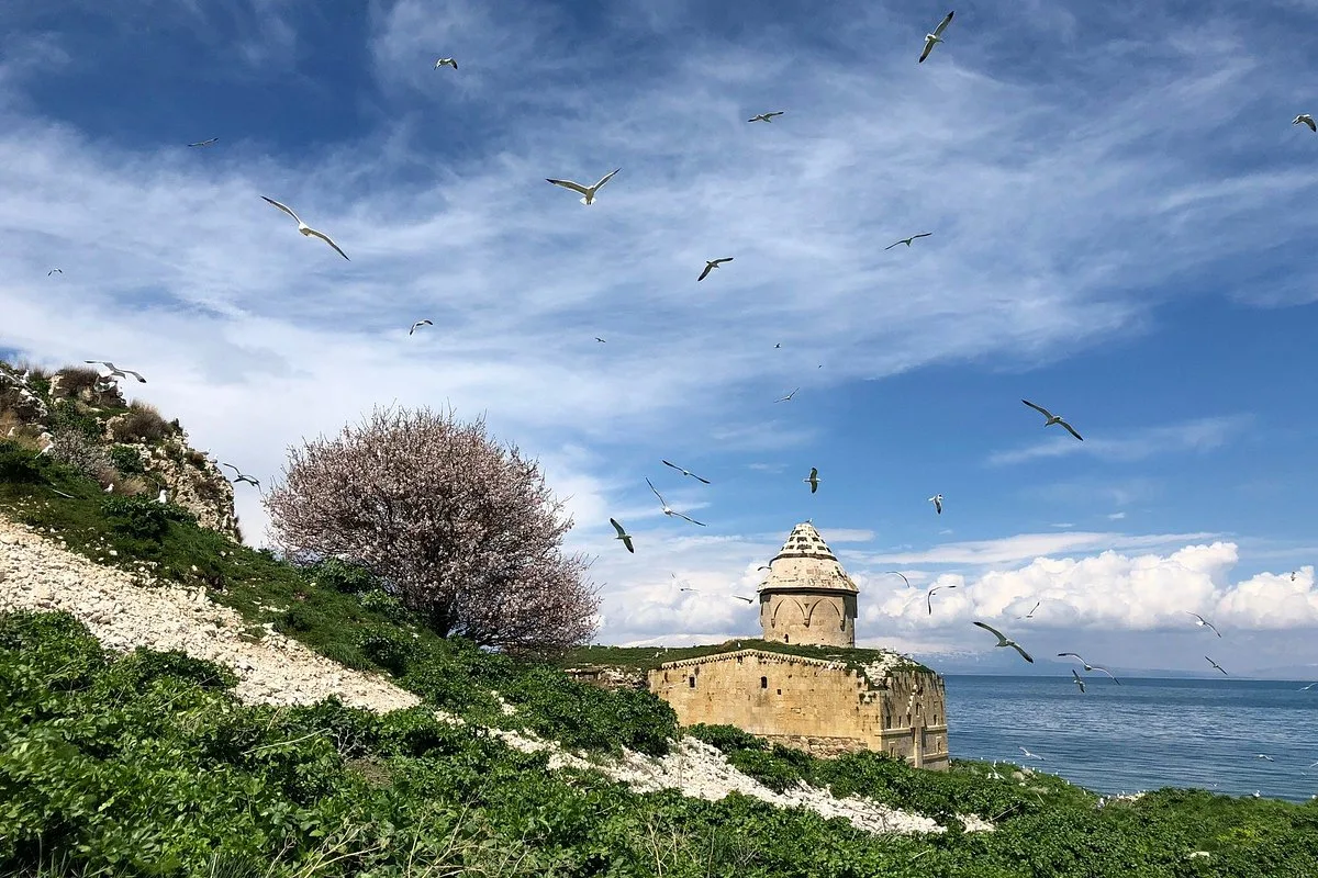 Çarpanak Adası Piknik Alanı
