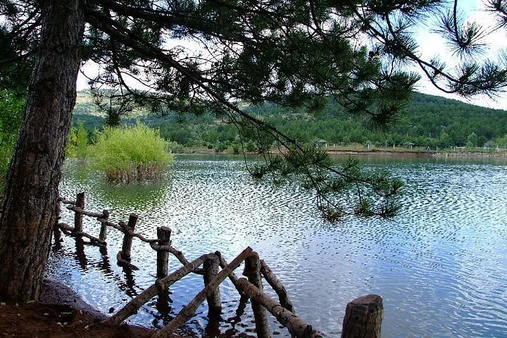 Çekerek Irmağı Kenarı Piknik Alanı