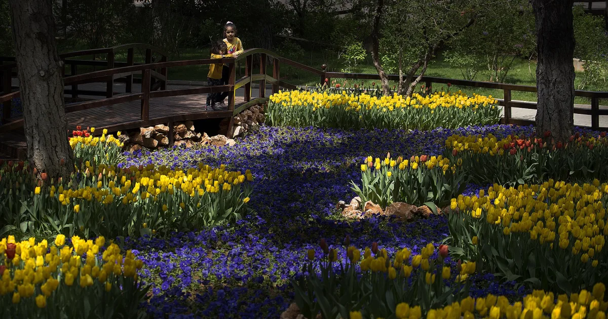 Dülükbaba Tabiat Parkı