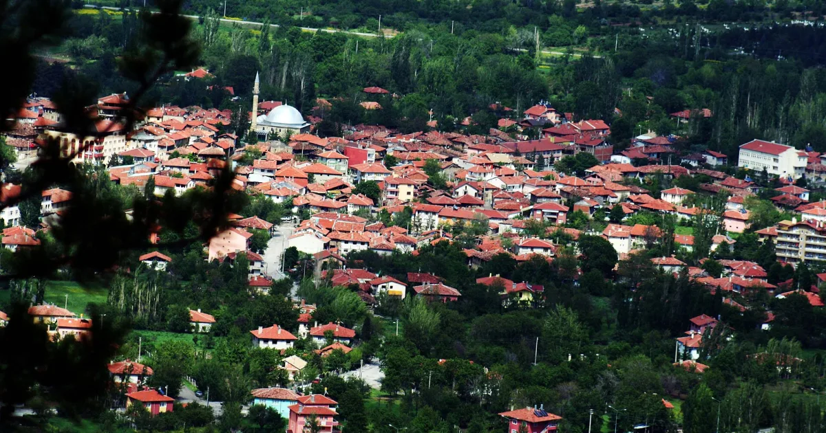 Eldivan Çamlığı Piknik Alanı