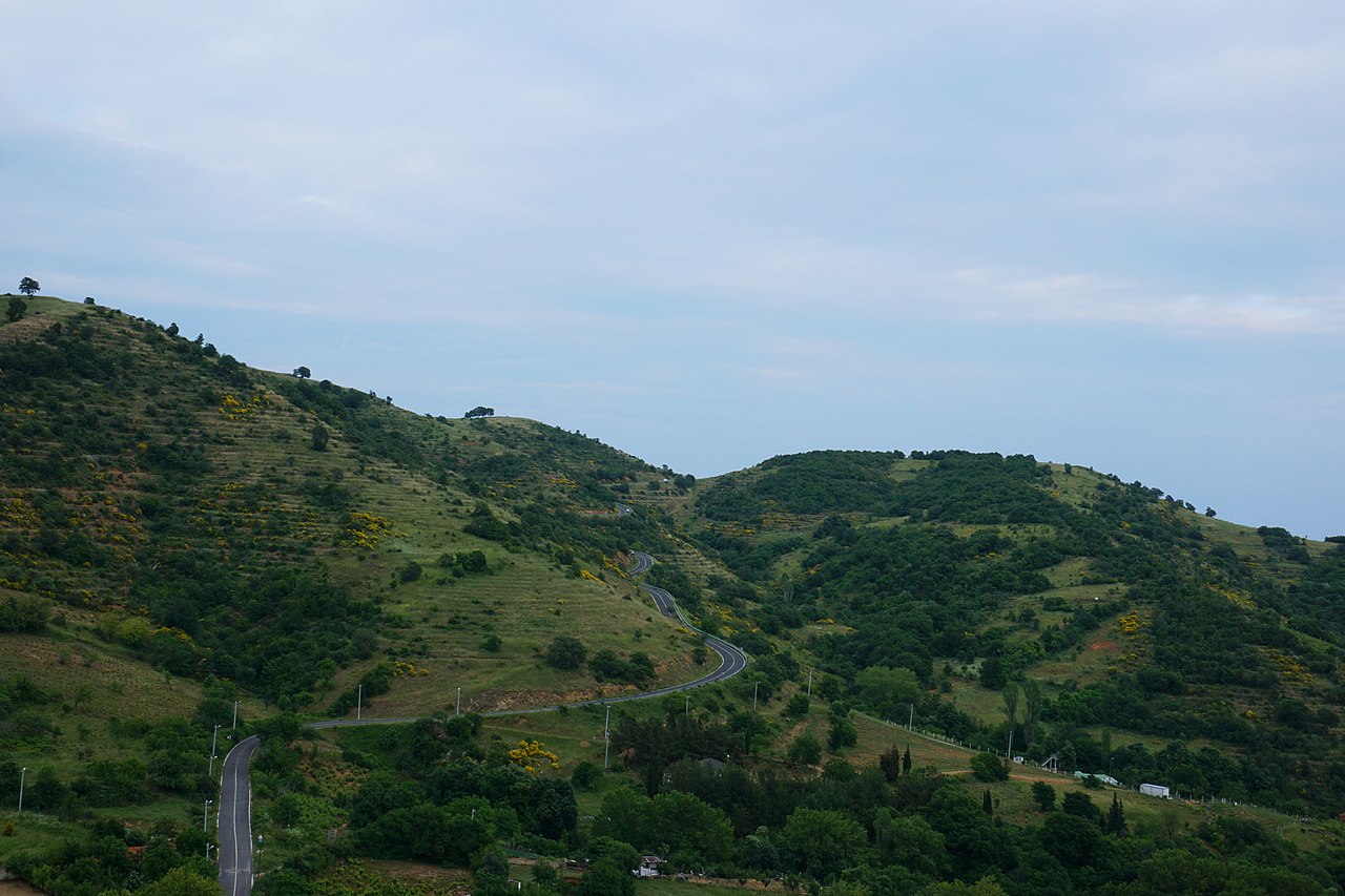 Ganos Dağı Orman Piknik Alanı