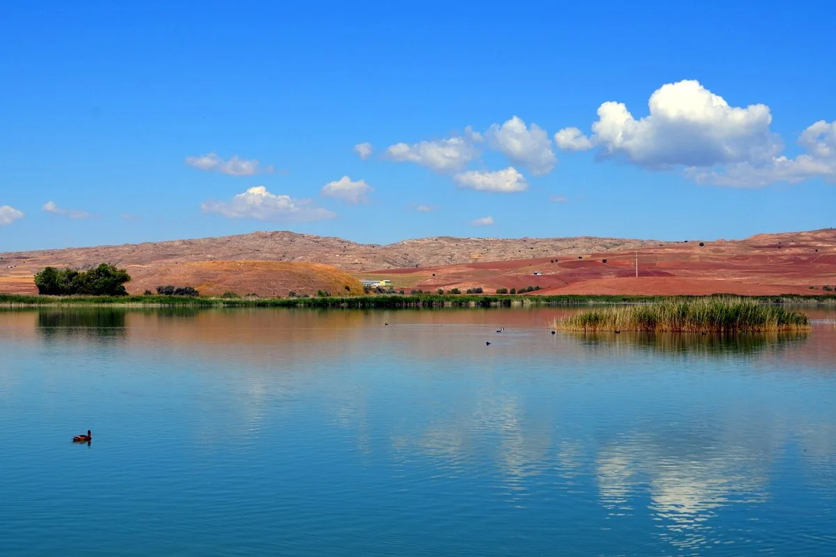 Hafik Gölü Piknik Alanı