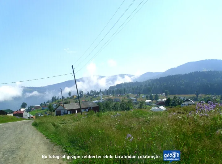 Hıdırnebi Yaylası Piknik Alanı