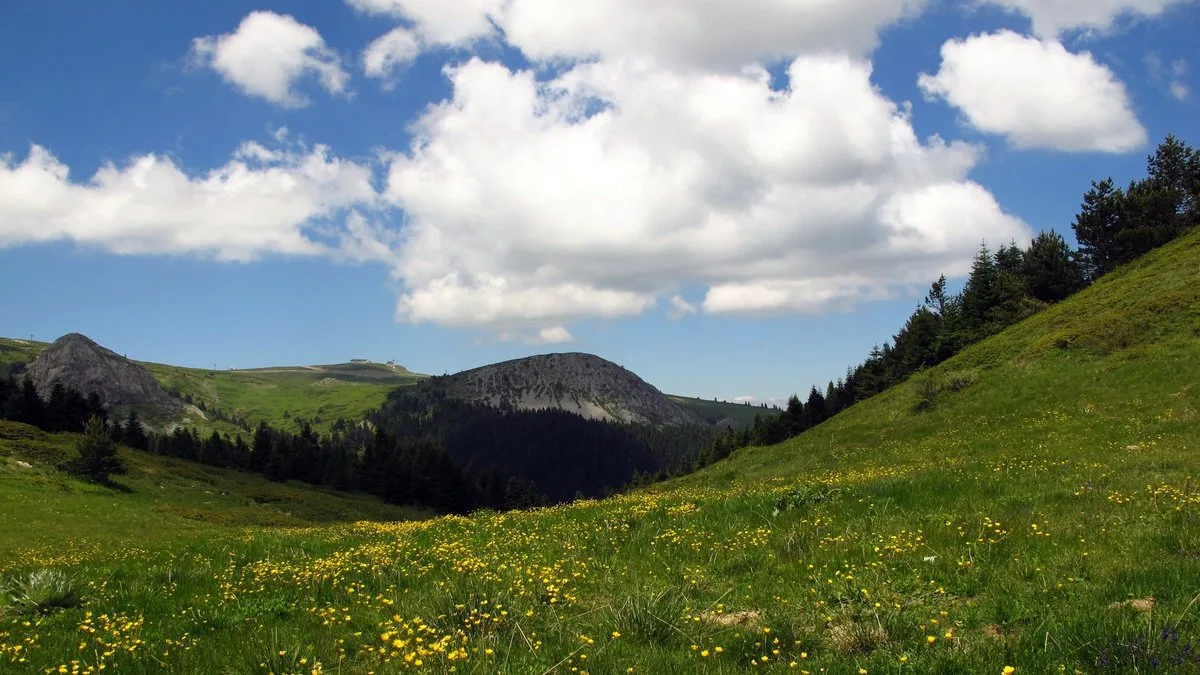 Ilgaz Dağı Milli Parkı Piknik Alanı