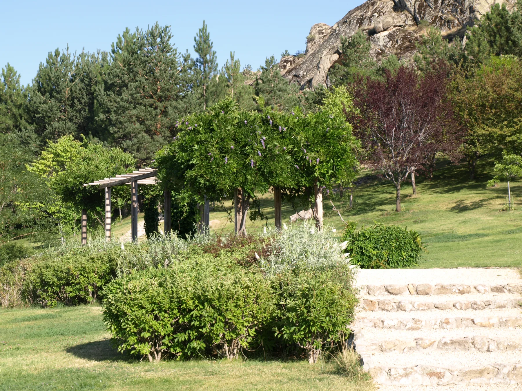 Kaman Kalehöyük Çevresi Piknik Alanı