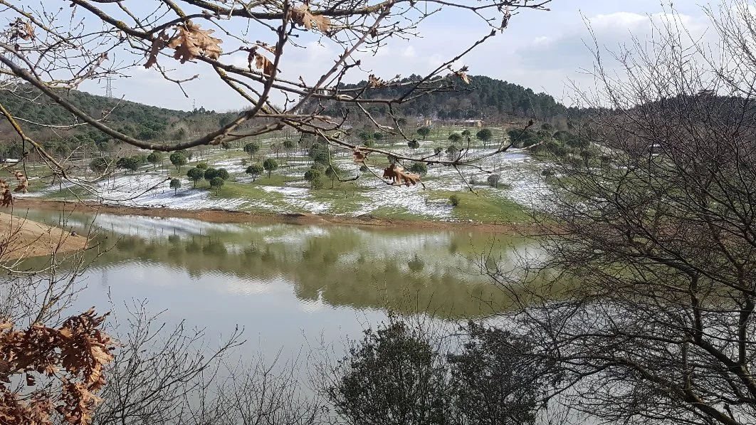 Kemerburgaz Kent Ormanı