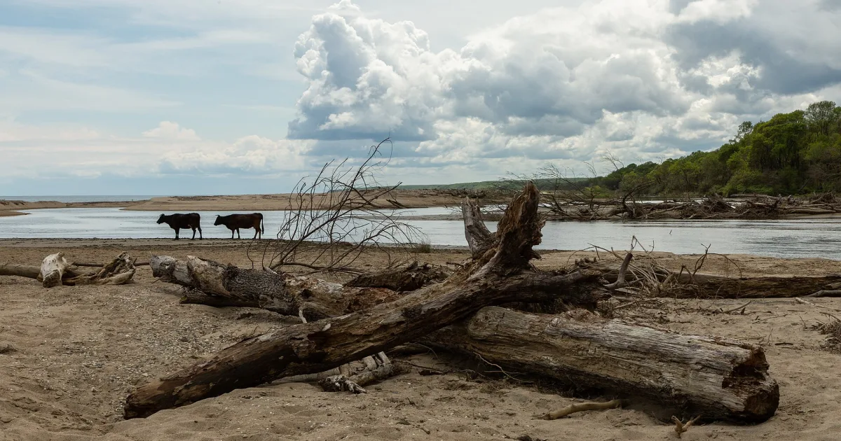 Kırklareli Atatürk Ormanı Piknik Alanı