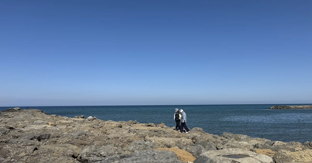 Kızılırmak Deltası Kuş Cenneti