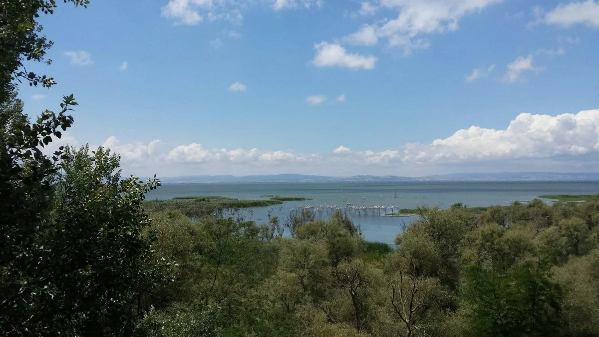 Manyas Kuş Cenneti Piknik Alanı