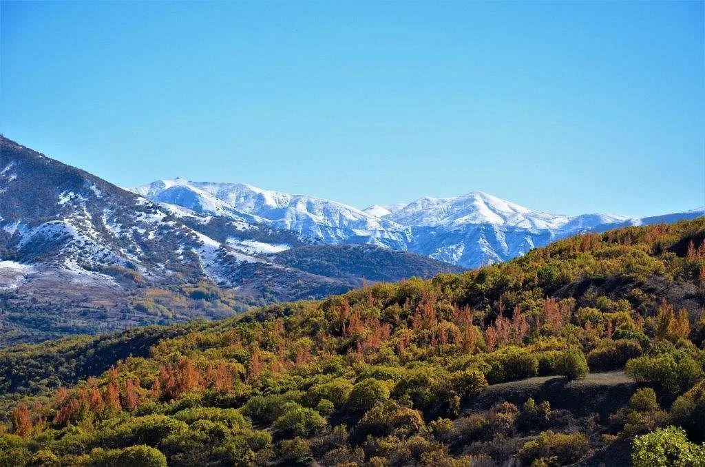 Munzur Vadisi Milli Parkı Piknik Alanı