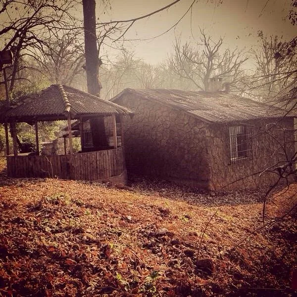 Nakkaş Köyü Mesire Alanı