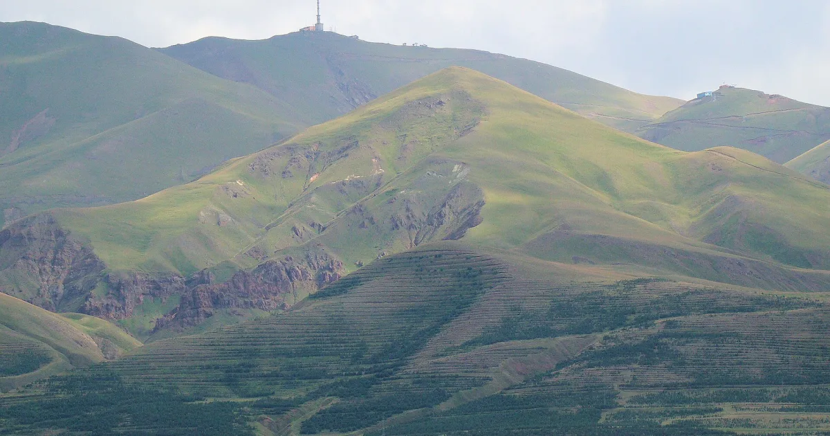 Palandöken Yaylası Piknik Alanı