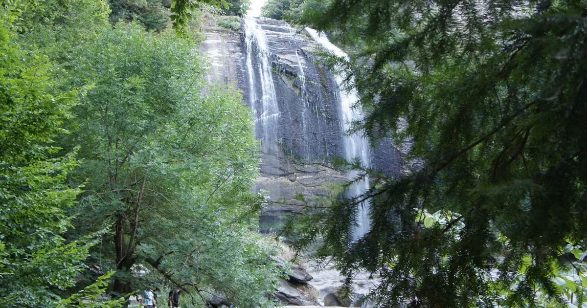 Pazaryeri Çamlık Mesire Alanı