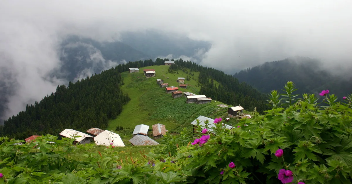 Pokut Yaylası
