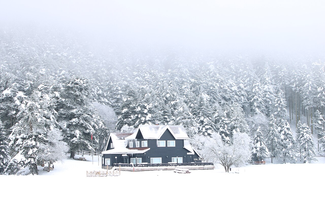 Seben Göleti Piknik Alanı