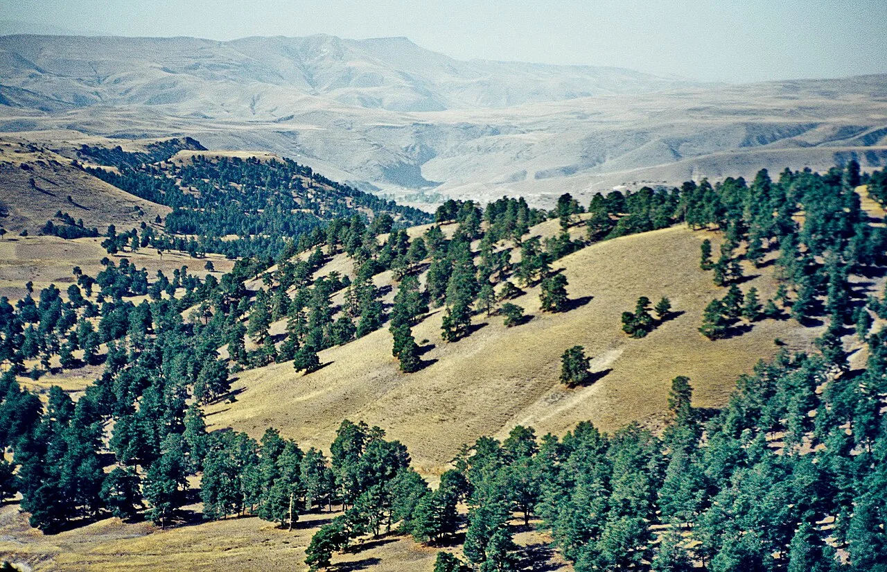 Soğanlı Dağları Yayla Piknik Alanı