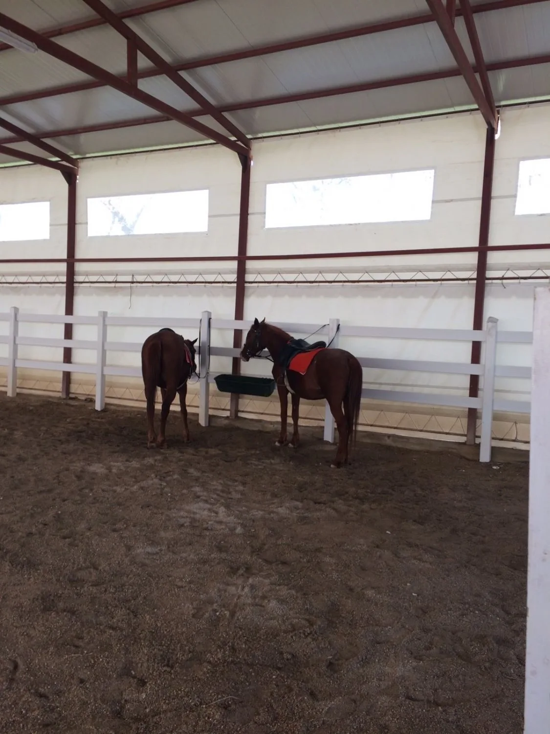 Sultansuyu Harası Piknik Alanı