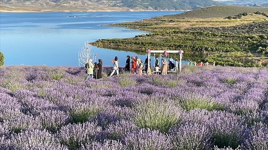 Süreyyabey Barajı Piknik Alanı