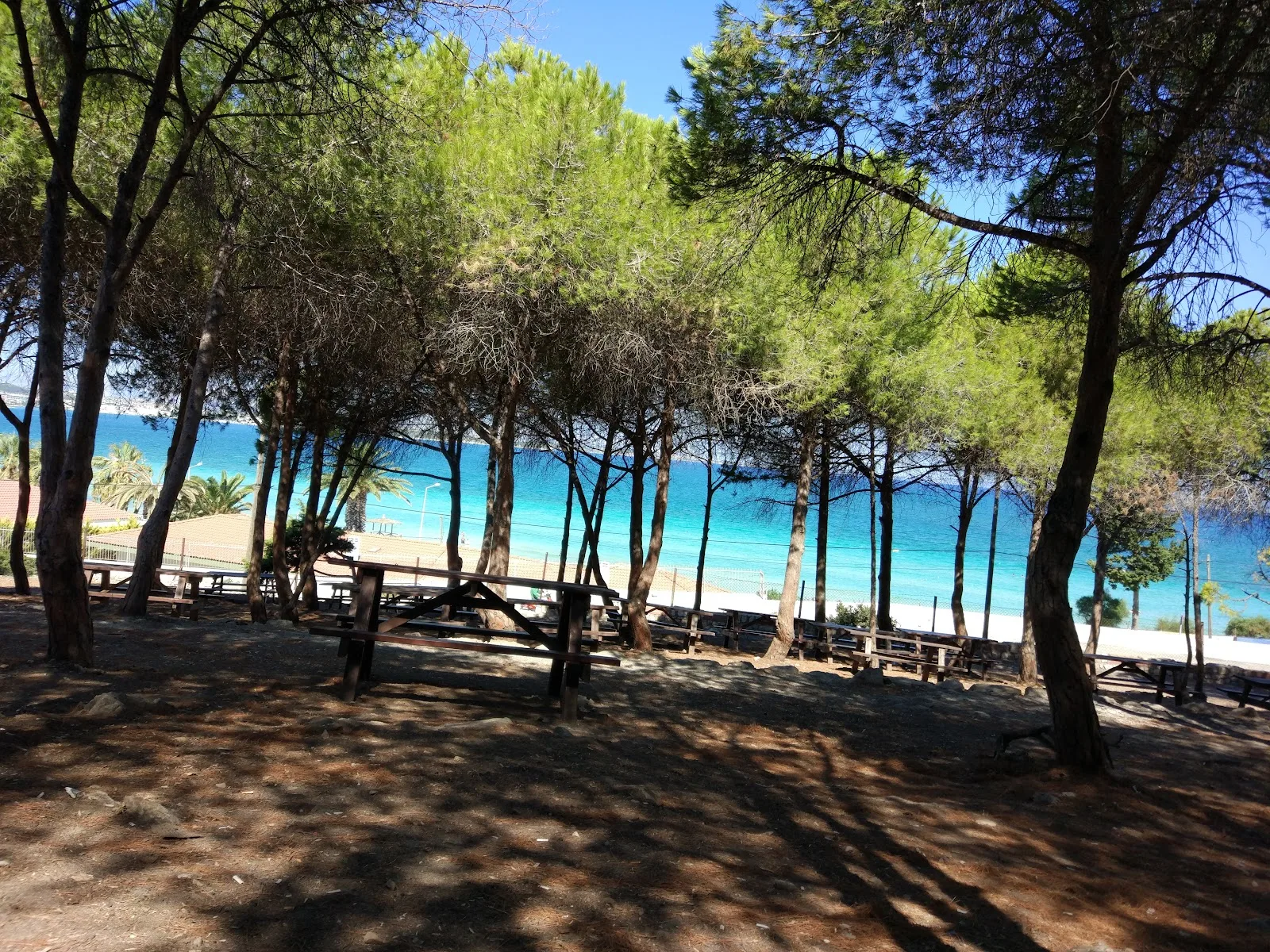 Tanay Tabiat Parkı