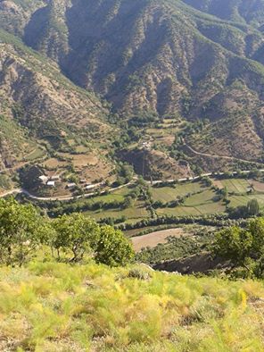 Tatvan Sahili Piknik ve Rekreasyon Alanı