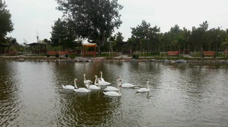 Yedikuğular Kuş Cenneti Piknik Alanı