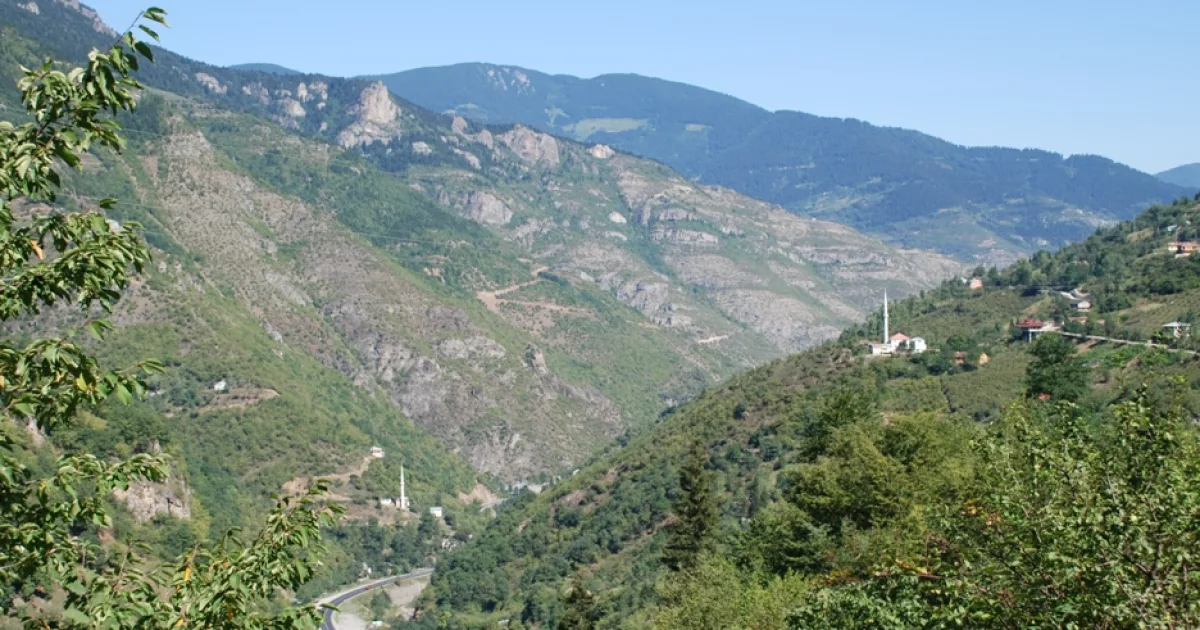 Zigana Yaylası Piknik Alanı