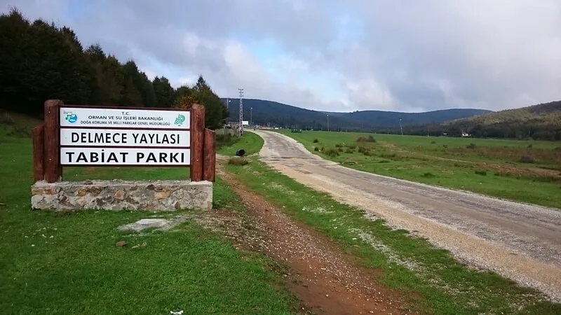 Delmece Yaylası Piknik Alanı