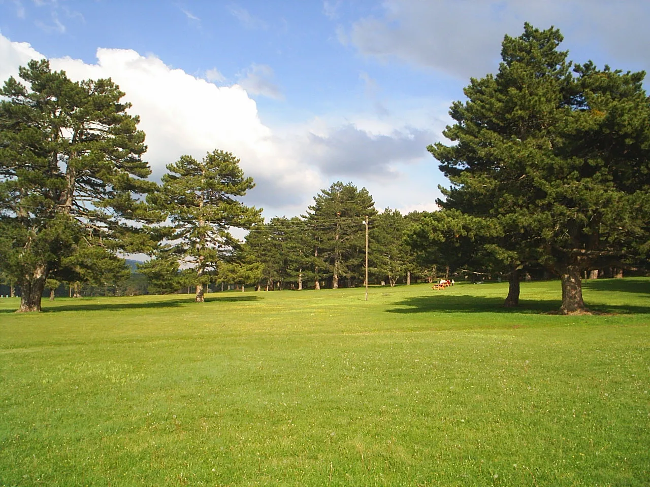 Kocayayla Mesire Alanı