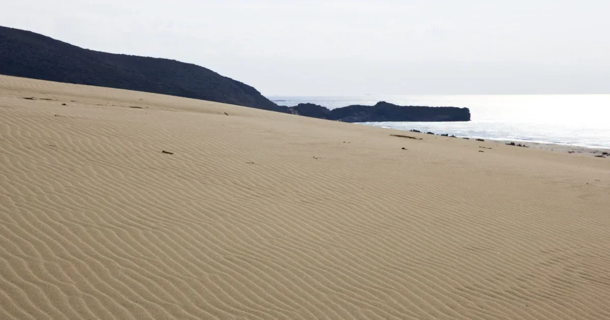 Patara Antik Kenti ve Plajı